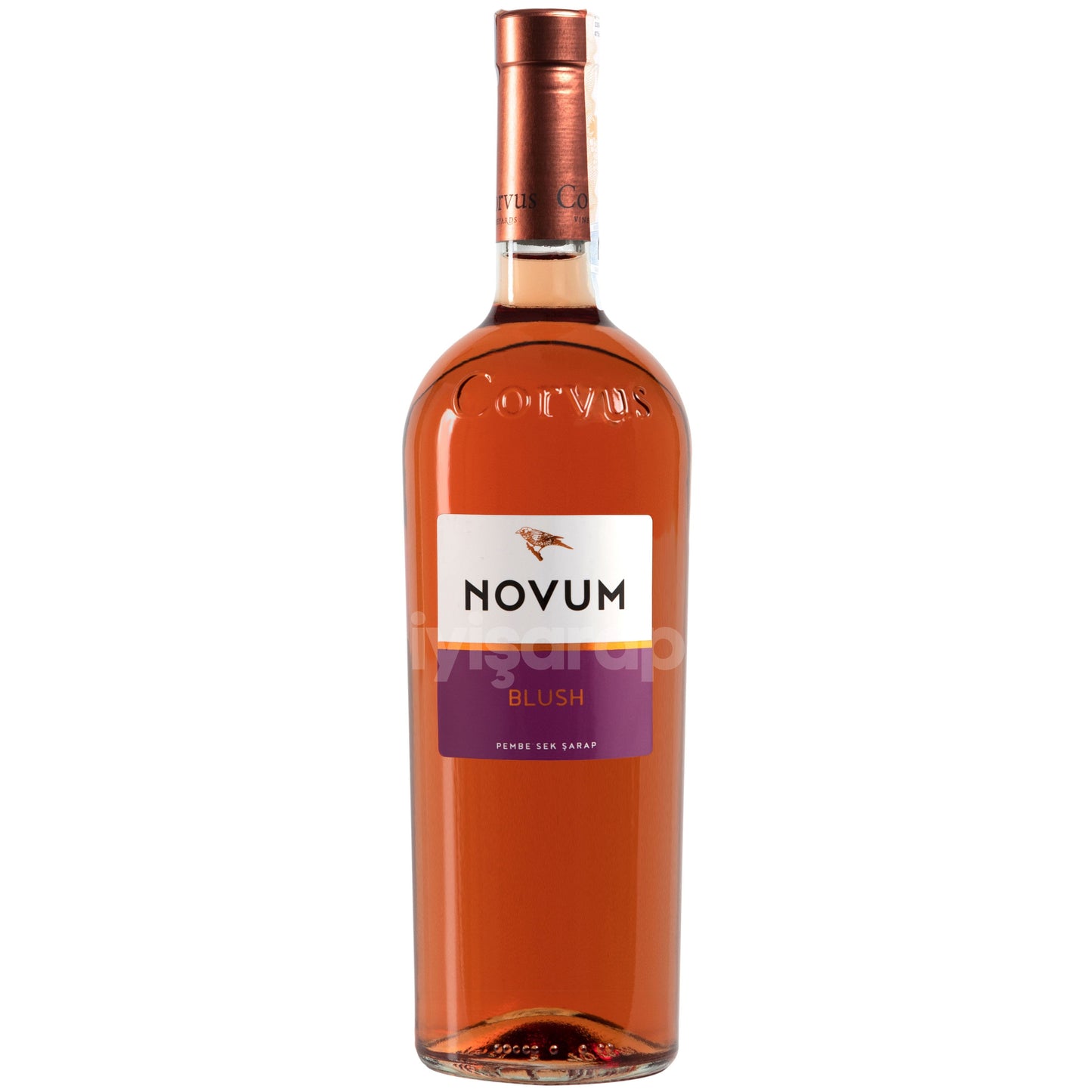 Corvus Novum Blush