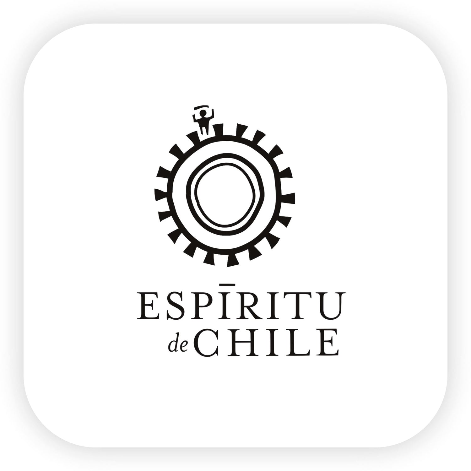 Espiritu De Chile Şarapları