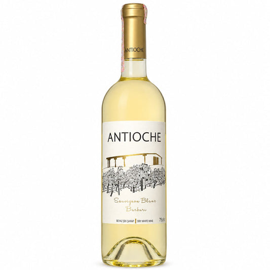 Antioche Sauvignon Blanc & Barburi