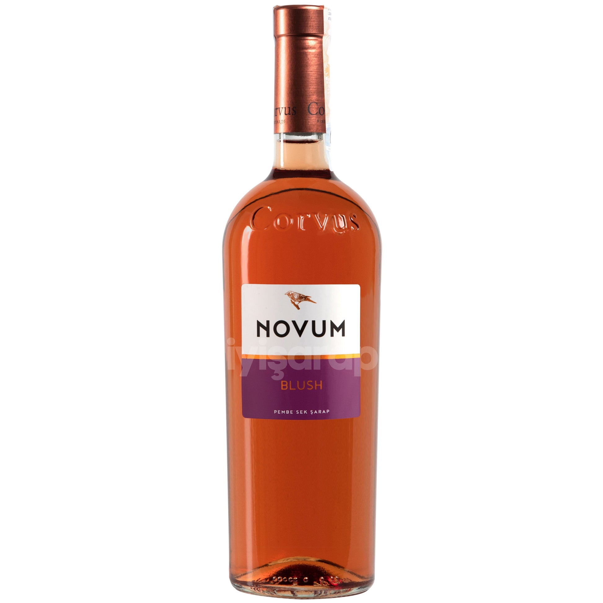 Corvus Novum Blush