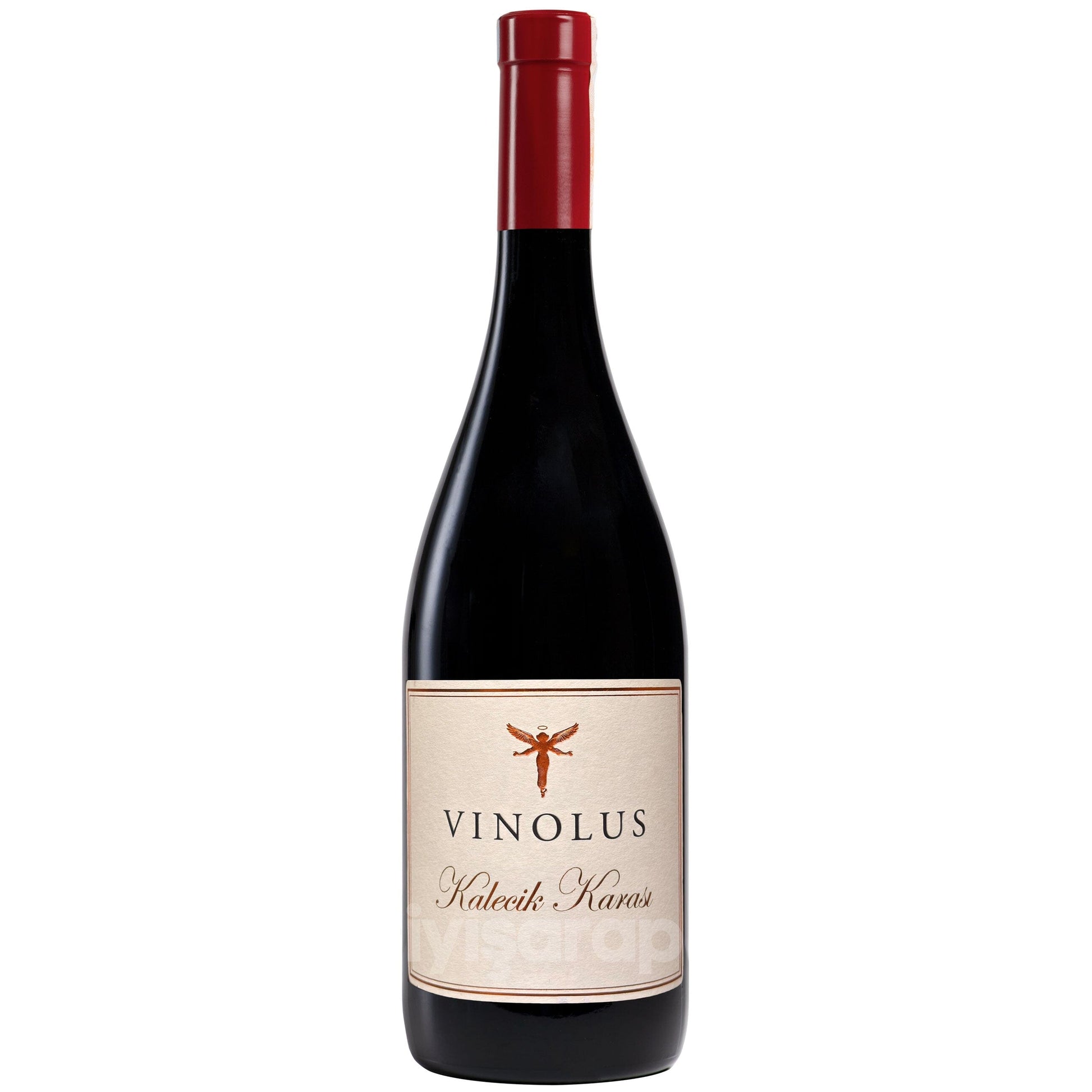 Vinolus Kalecik Karası